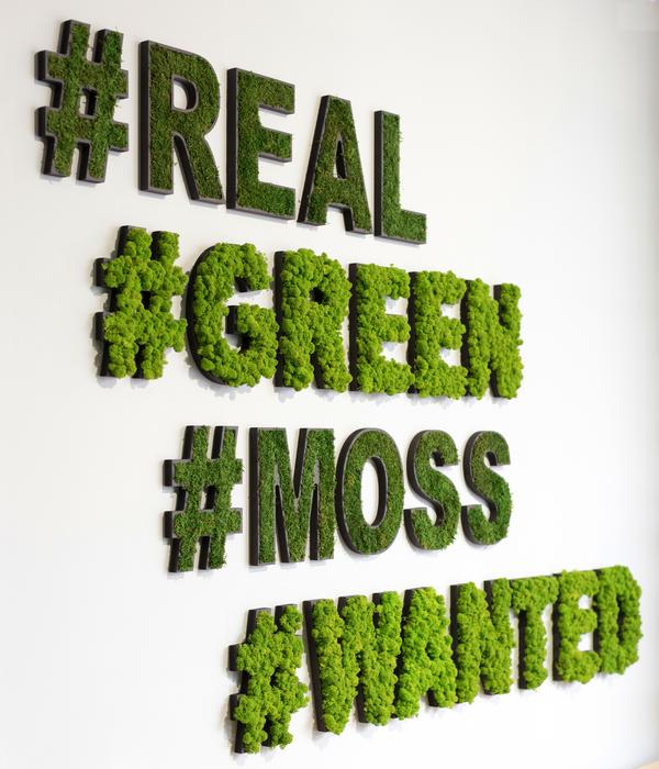 styleGREEN Sonderzeichen 'Hashtag' aus