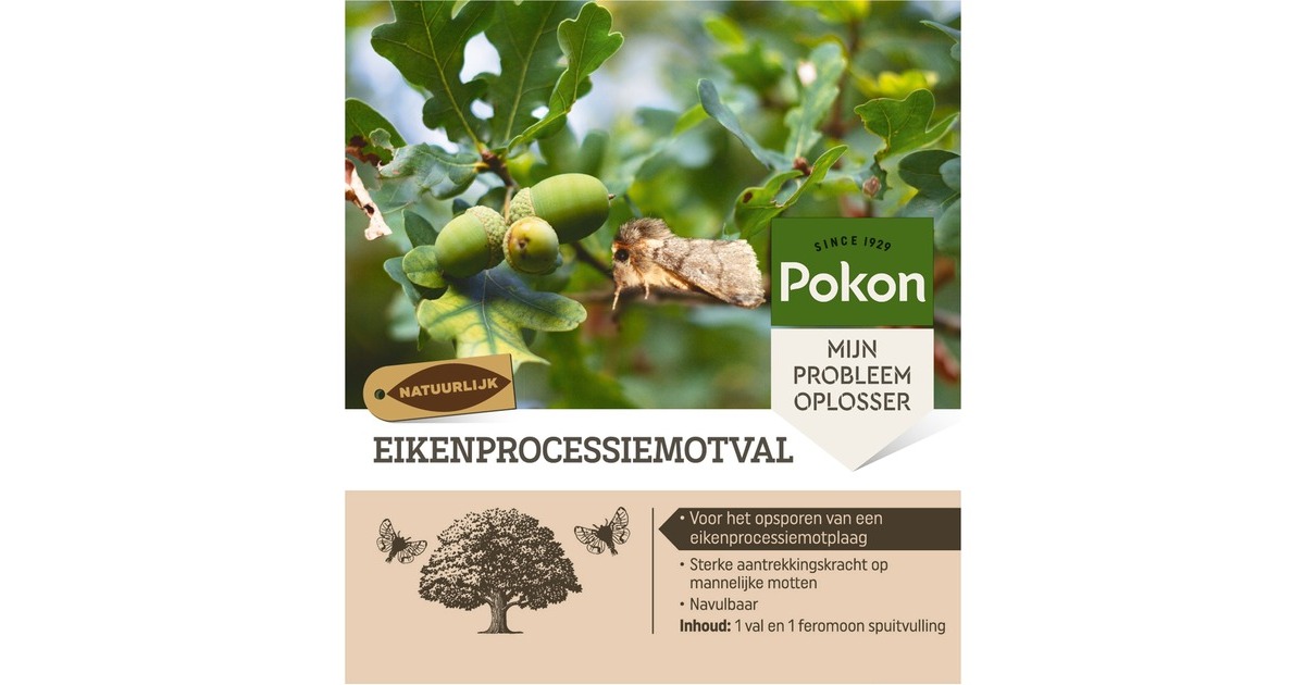 PokonEikenprocessiemotval insectenval
