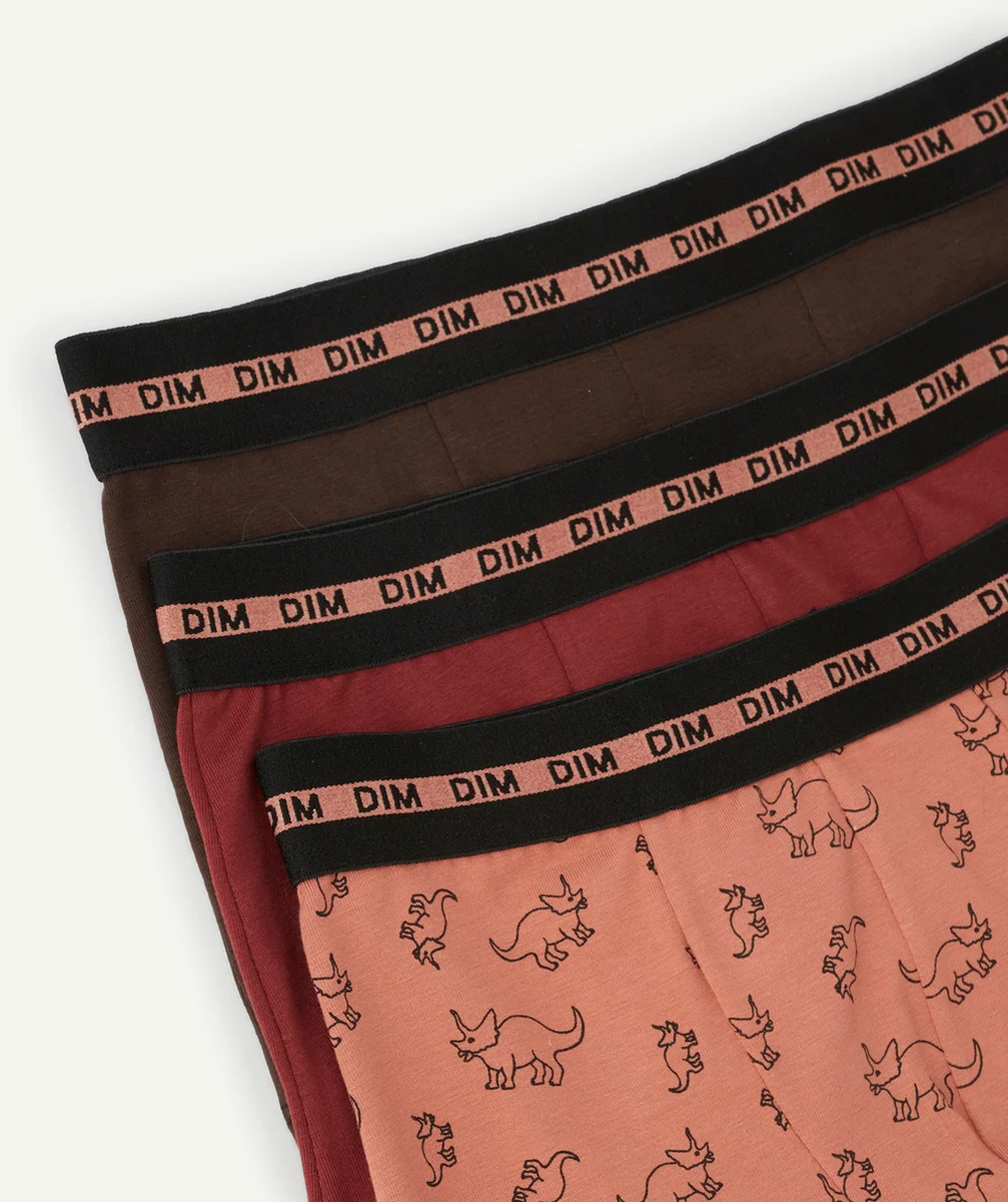DIMLOT DE 3 BOXERS FASHION COTON STRETCH BORDEAU ET IMPRIMÉ DINOSAURE