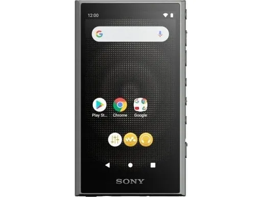 Sony Walkman NW-A306 - Digital afspiller - 32 GB - sort