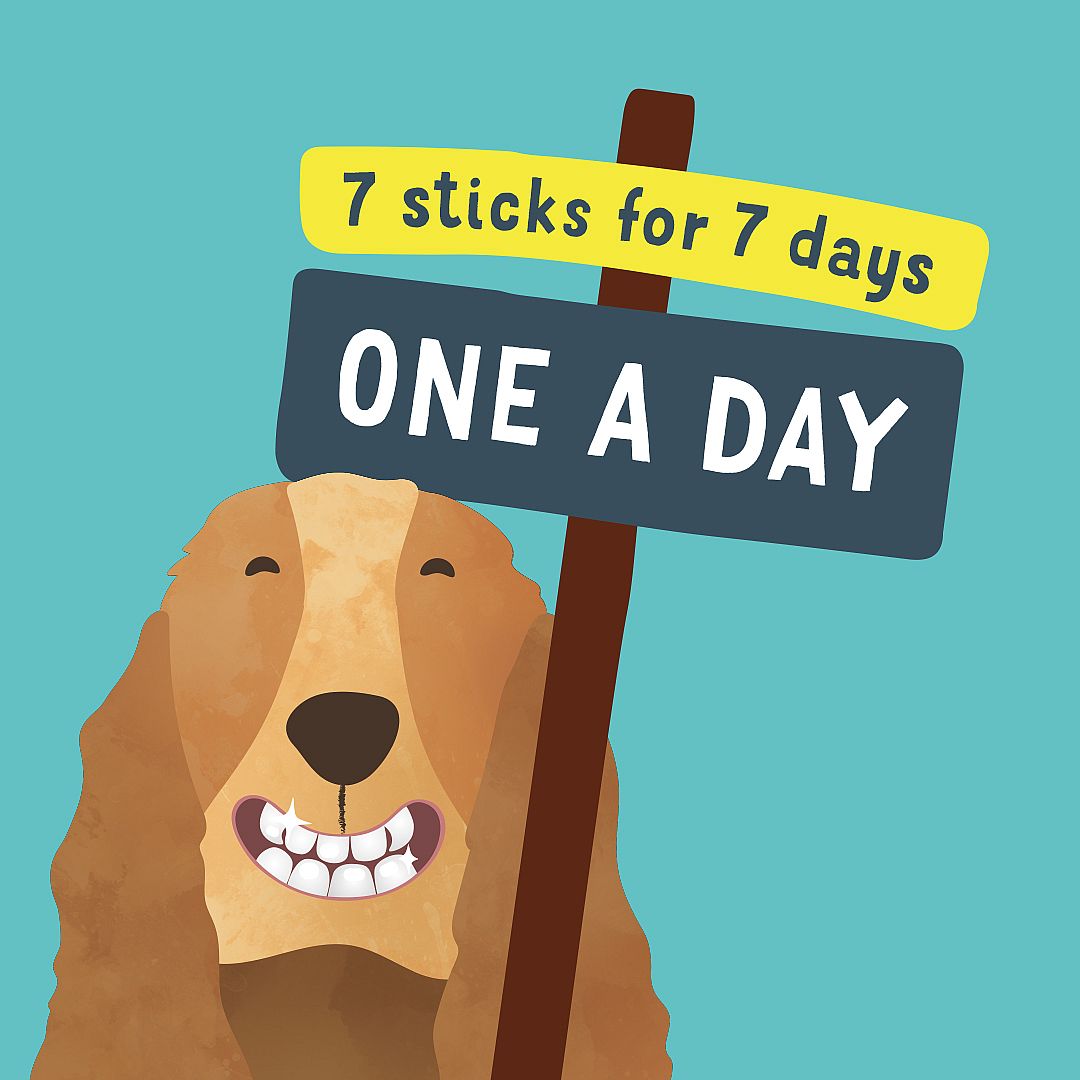 Edgard & Cooper Doggy Dental Sticks Frisse Muntolie en Aardbei