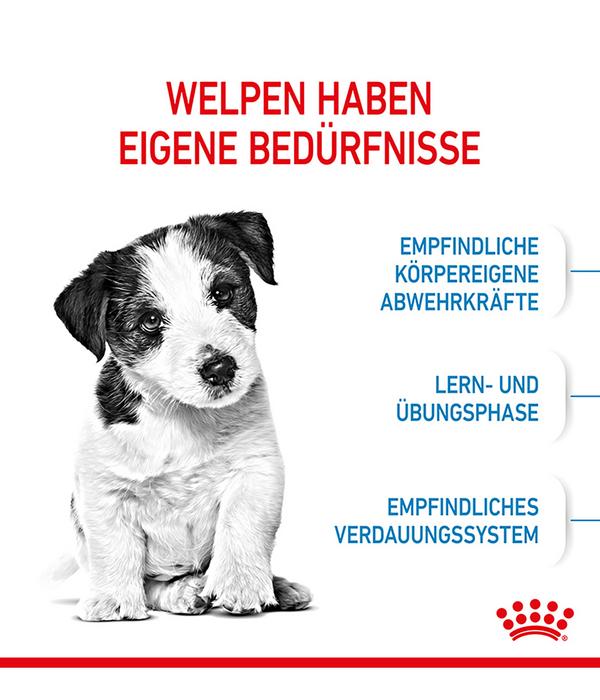 ROYAL CANIN® Trockenfutter für Hunde Mini
