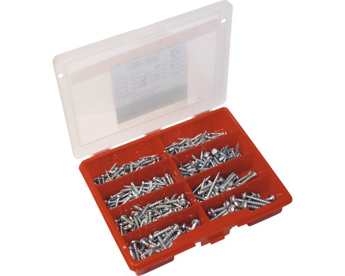 Assortiment pankopschroeven, verzinkt, 330 stuks