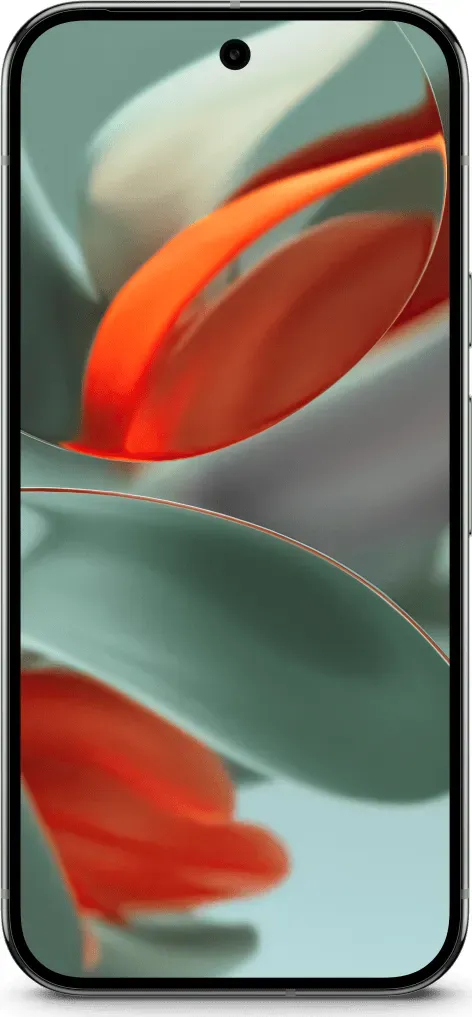 Google Pixel 9 Pro XL