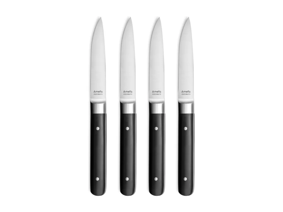 Fusion Noir - Coffret 4 couteaux steak