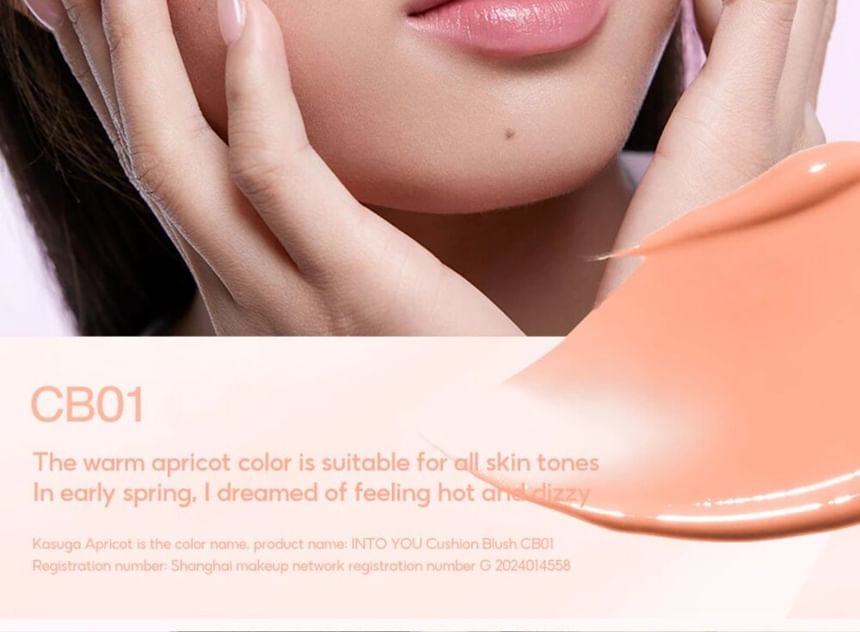 INTO YOU - Lucht Blush Kussen (1-2)
