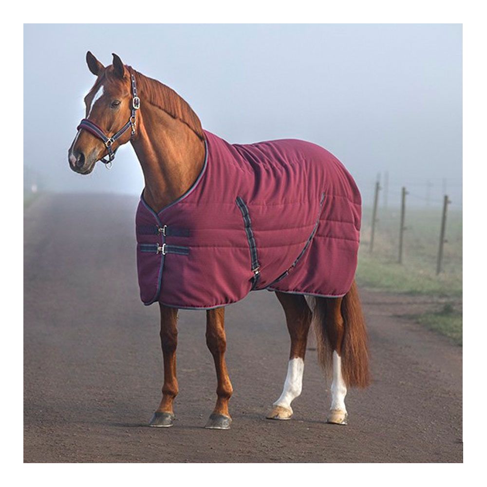 Horseware RAMBO STABLE 100G - Couverture de box burg/burg/teal/nvy
