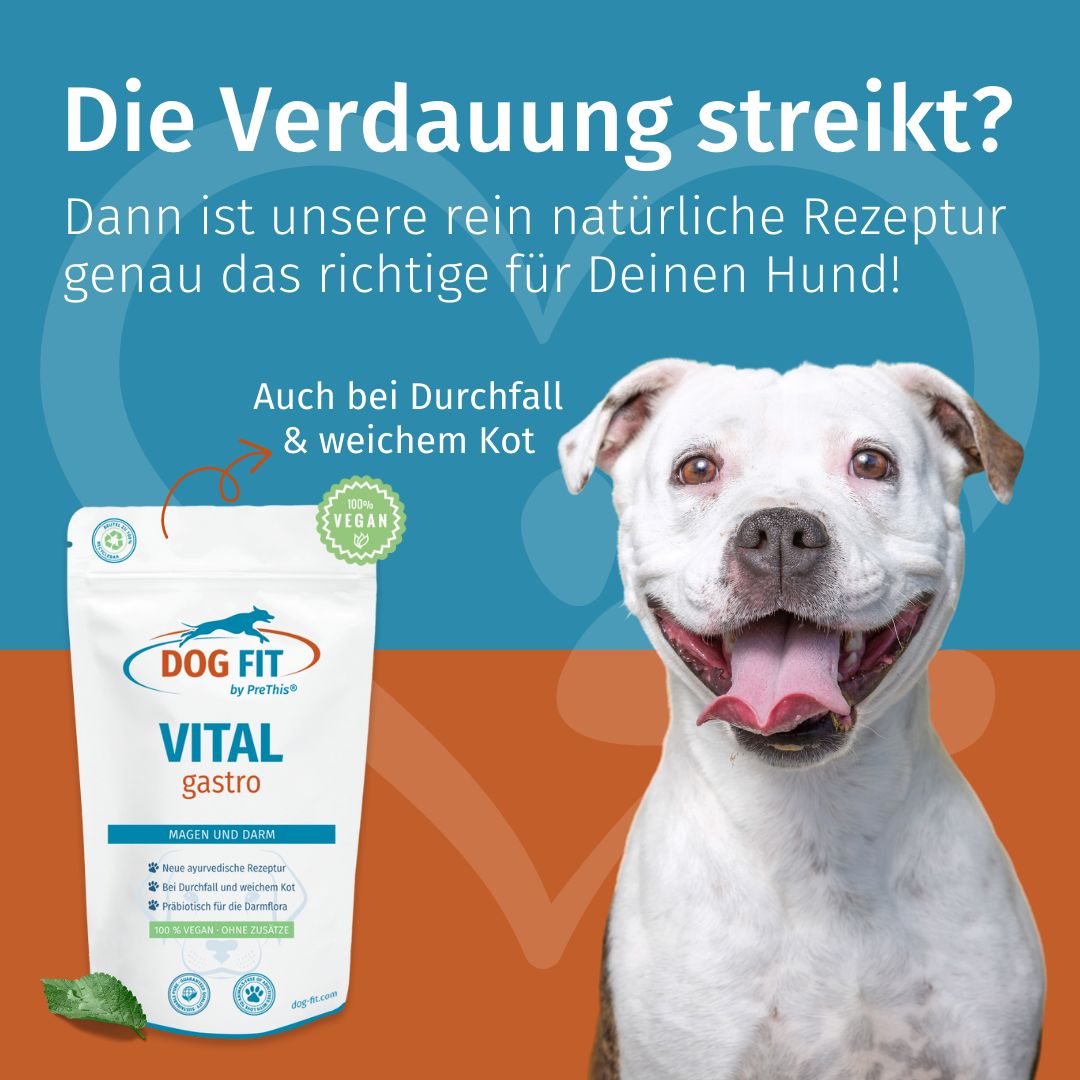 DOG FIT by PreThis® VITAL gastro » Bei Verdauungsproblemen, Durchfall und weichem Kot
