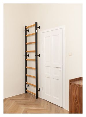 ESPALIER de gymnastique BenchK 700B