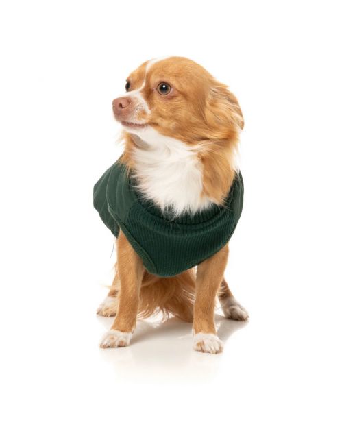Fuzzyard East Macgyver Jacket Groen - Hondenkleding