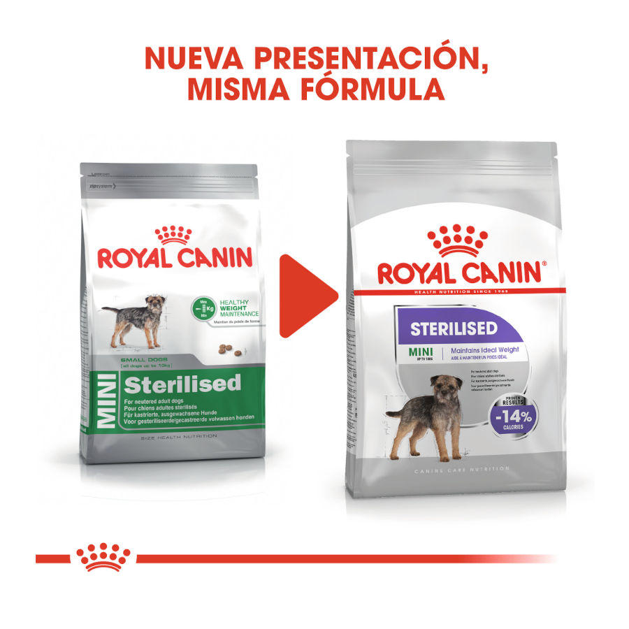 Ração esterilizada Royal Canin para cães de porte pequeno