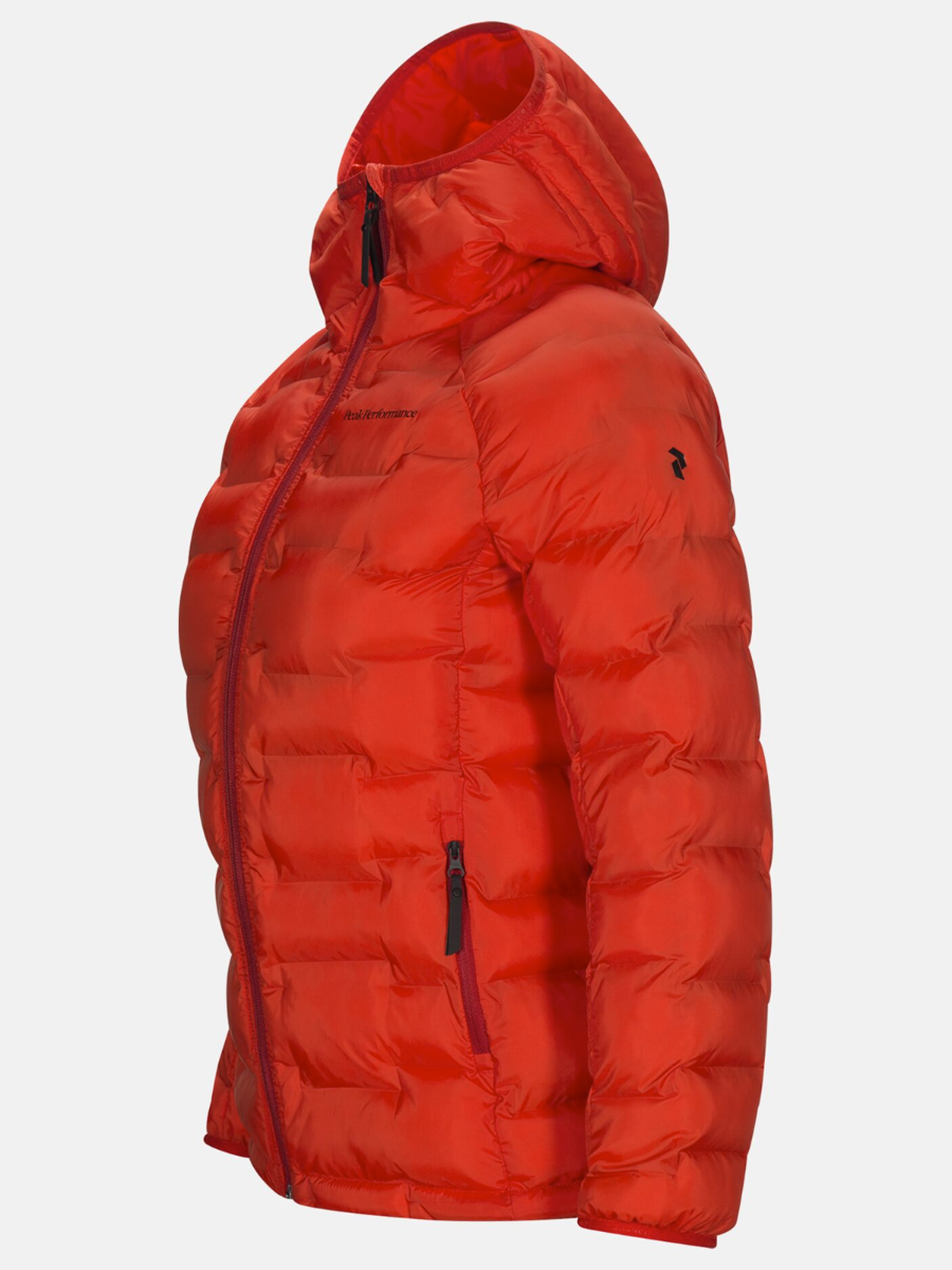 Argon Hood Jacket