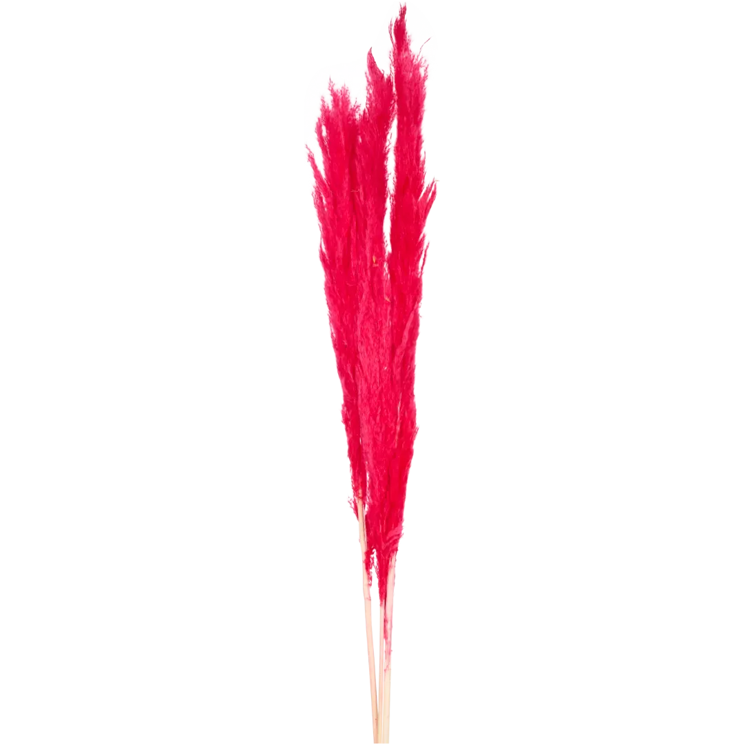 Droogboeket 70 cm | diverse varianten