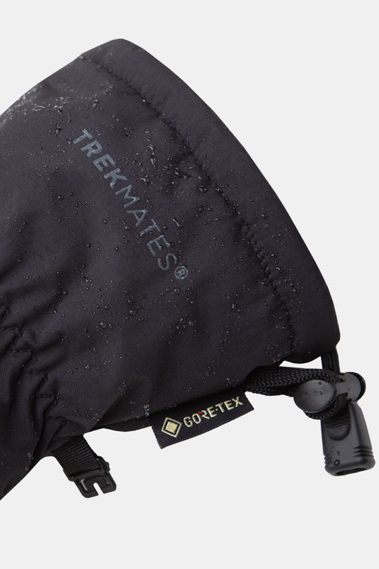 Trekmates Trekmates Chamonic GTX Want Dames
