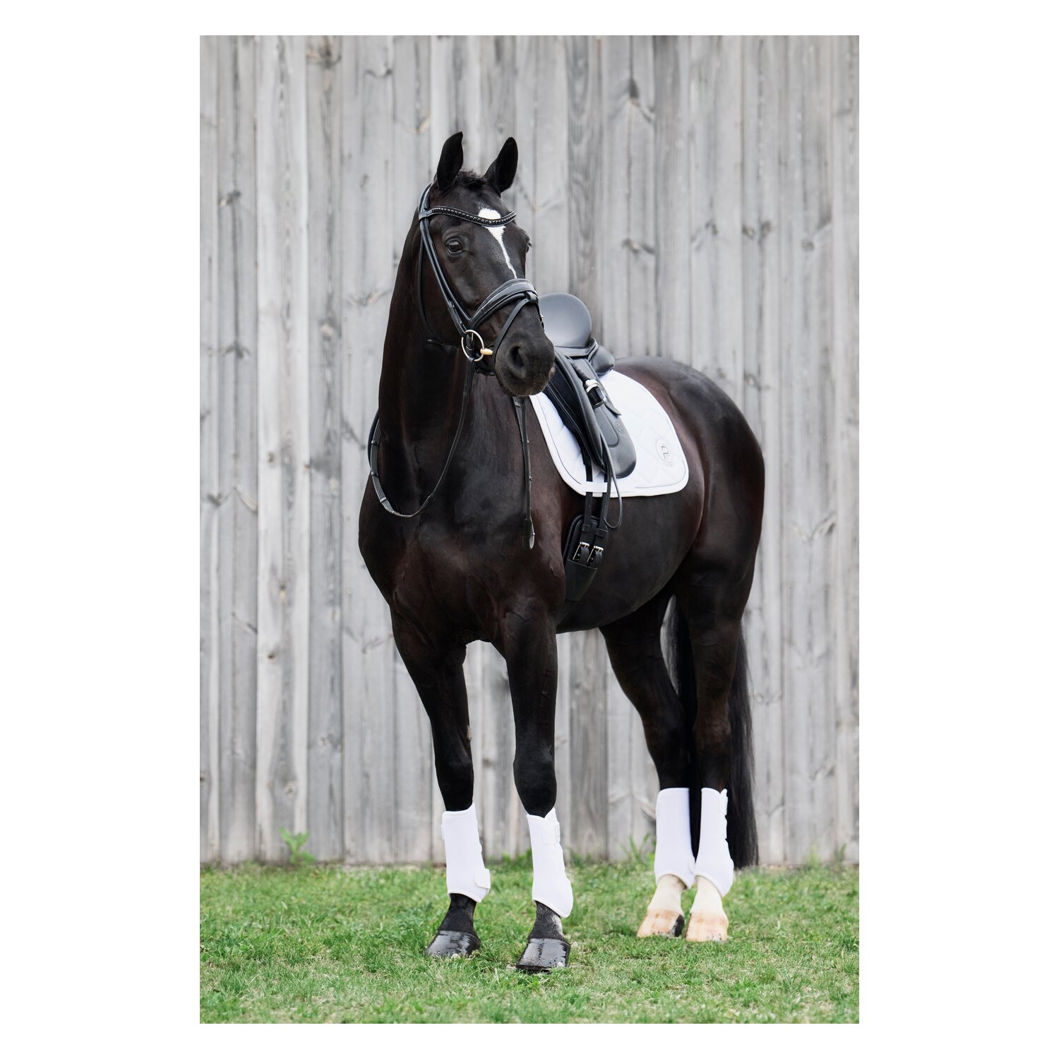 ESKADRON Platinum Schabracke Softshell Emblem - white