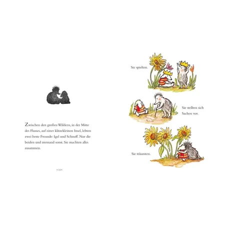 Carlsen Verlag Igel und Schnuff von Lauren Castillo