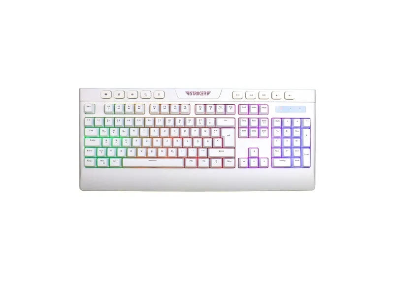 Hyrican GAMEMAX ICE 7407, 4,2 GHz, AMD Ryzen™ 7, 7800X3D, 32 GB, 2 TB, Windows 11 Home