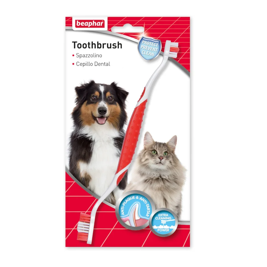 Kit dental Beaphar para cães