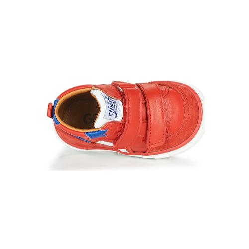 GBB - FLAVIO - Rouge