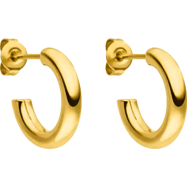 Brave Ohrringe gold