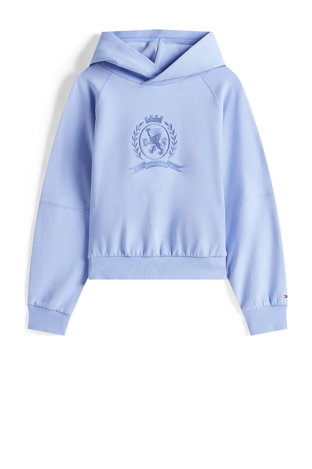 Tommy Hilfiger hoodie lichtblauw