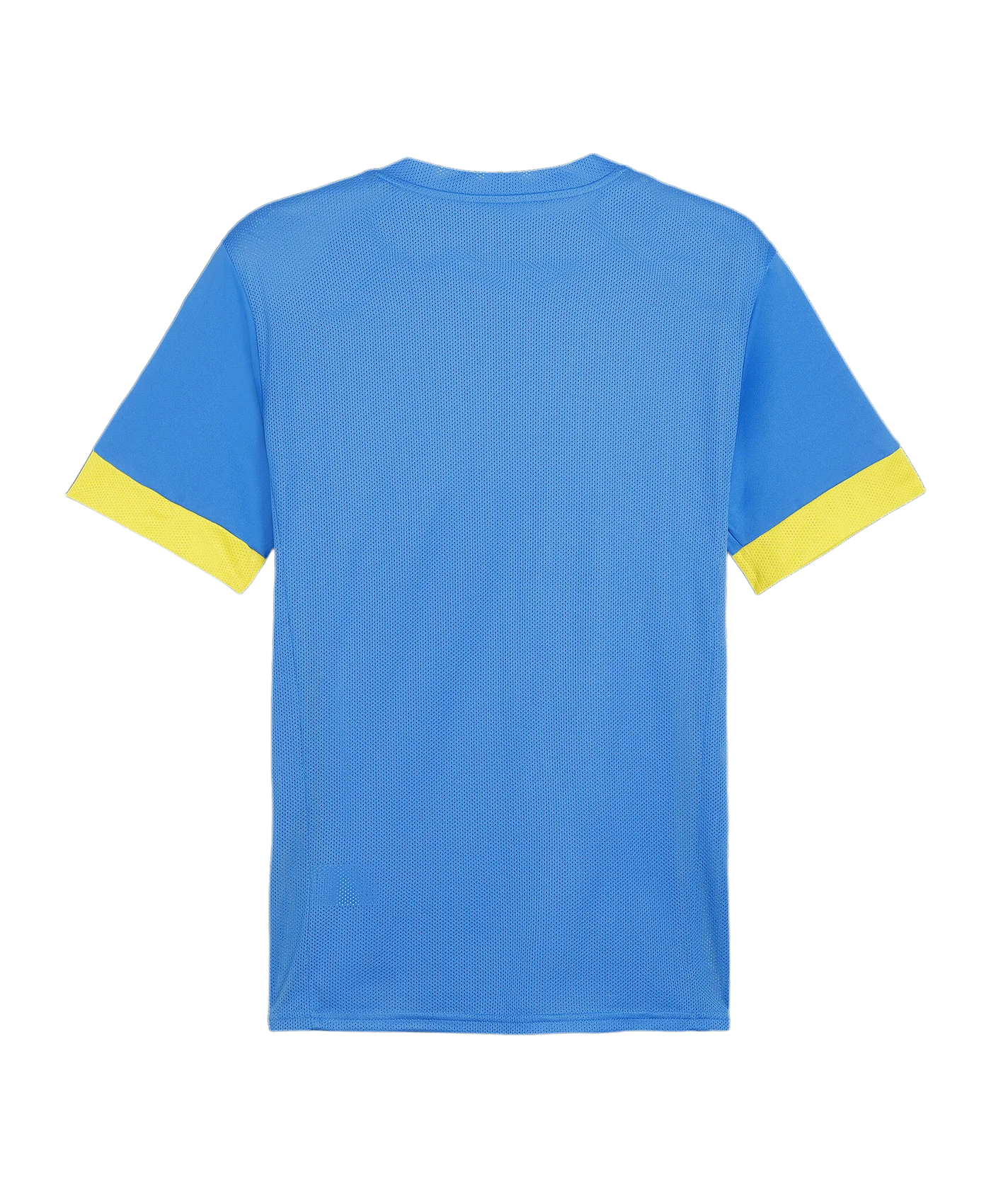 PUMA teamGOAL Matchday Trikot Blau Gelb F16