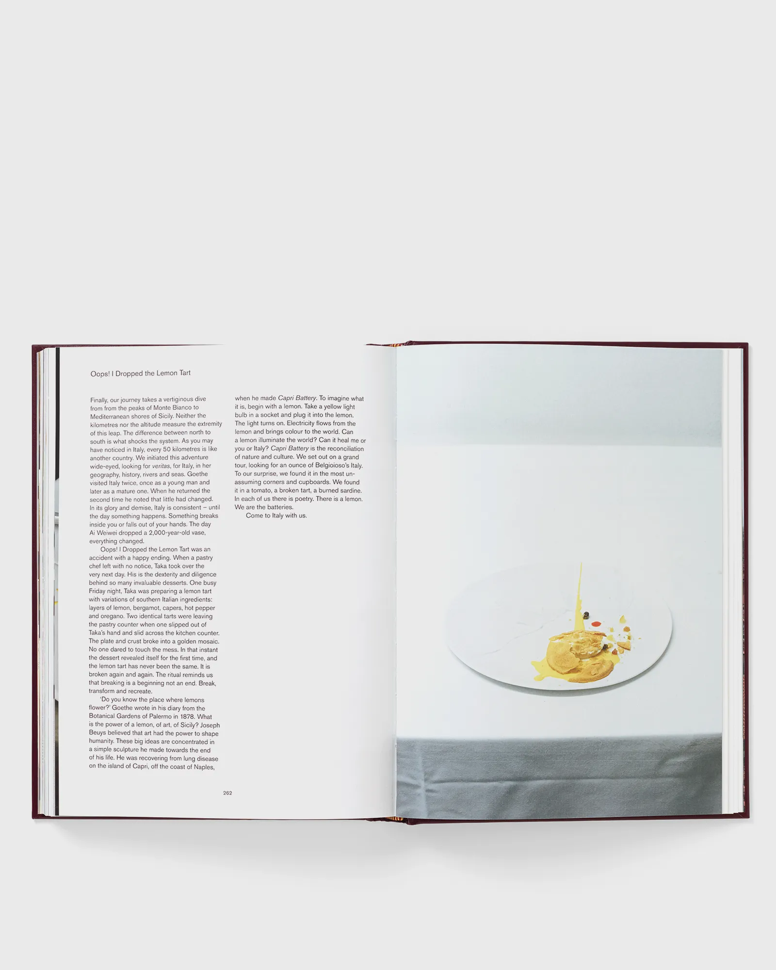 PHAIDON 