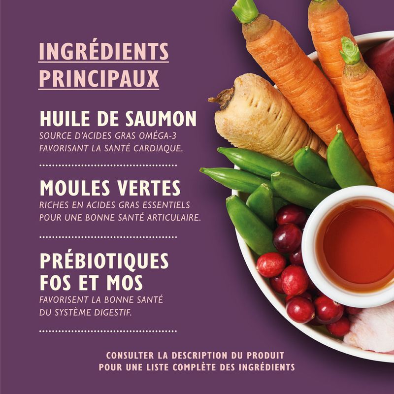 Lily's Kitchen Senior dinde pour chien ✓ pas cher