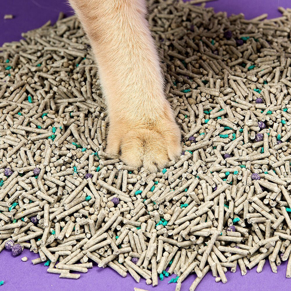 PETKIT 5 in 1 Mixed Cat Litter