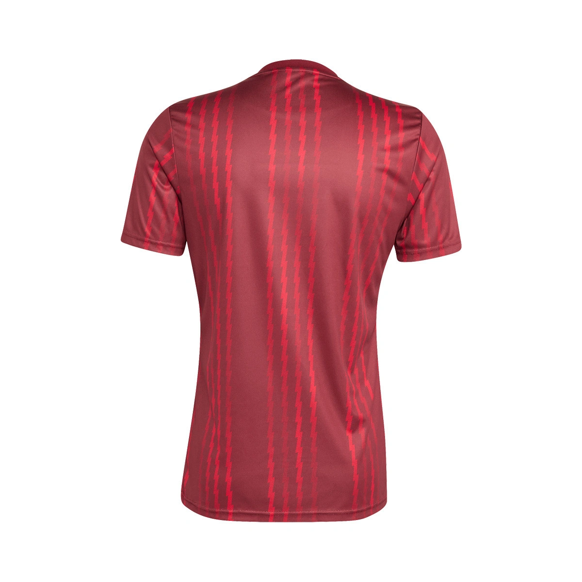 Camisola adidas Arsenal Fc Pre-Match 2025-2026
