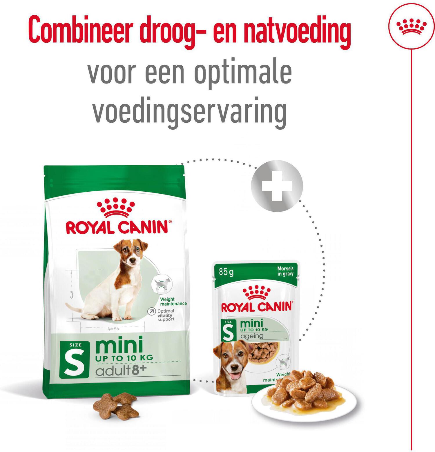 Royal Canin hondenvoer Mini adult 8+ 2 kg