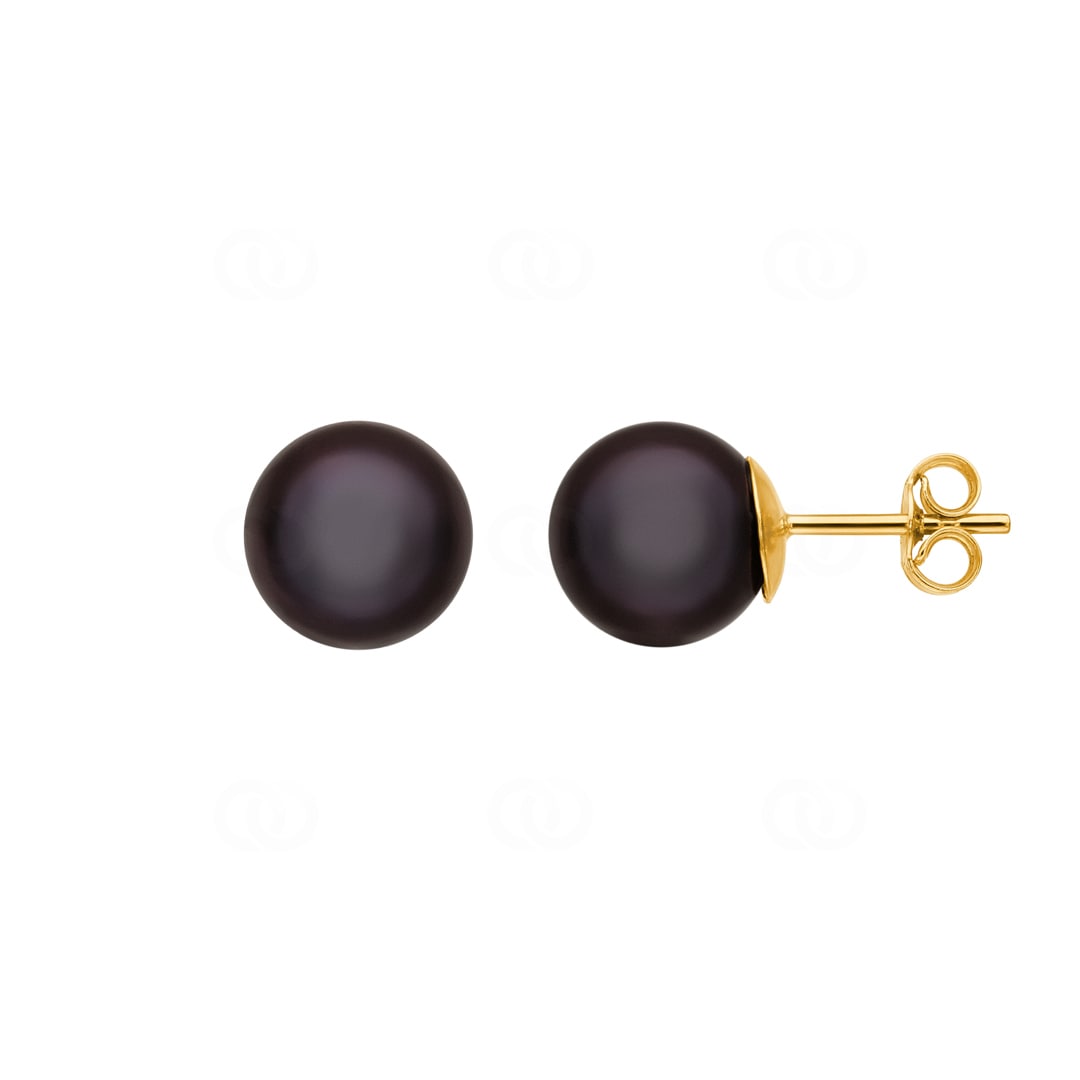Ohrstecker 750/18 K Gelbgold mit schwarzer Süsswasserzuchtperle Ø 8mm