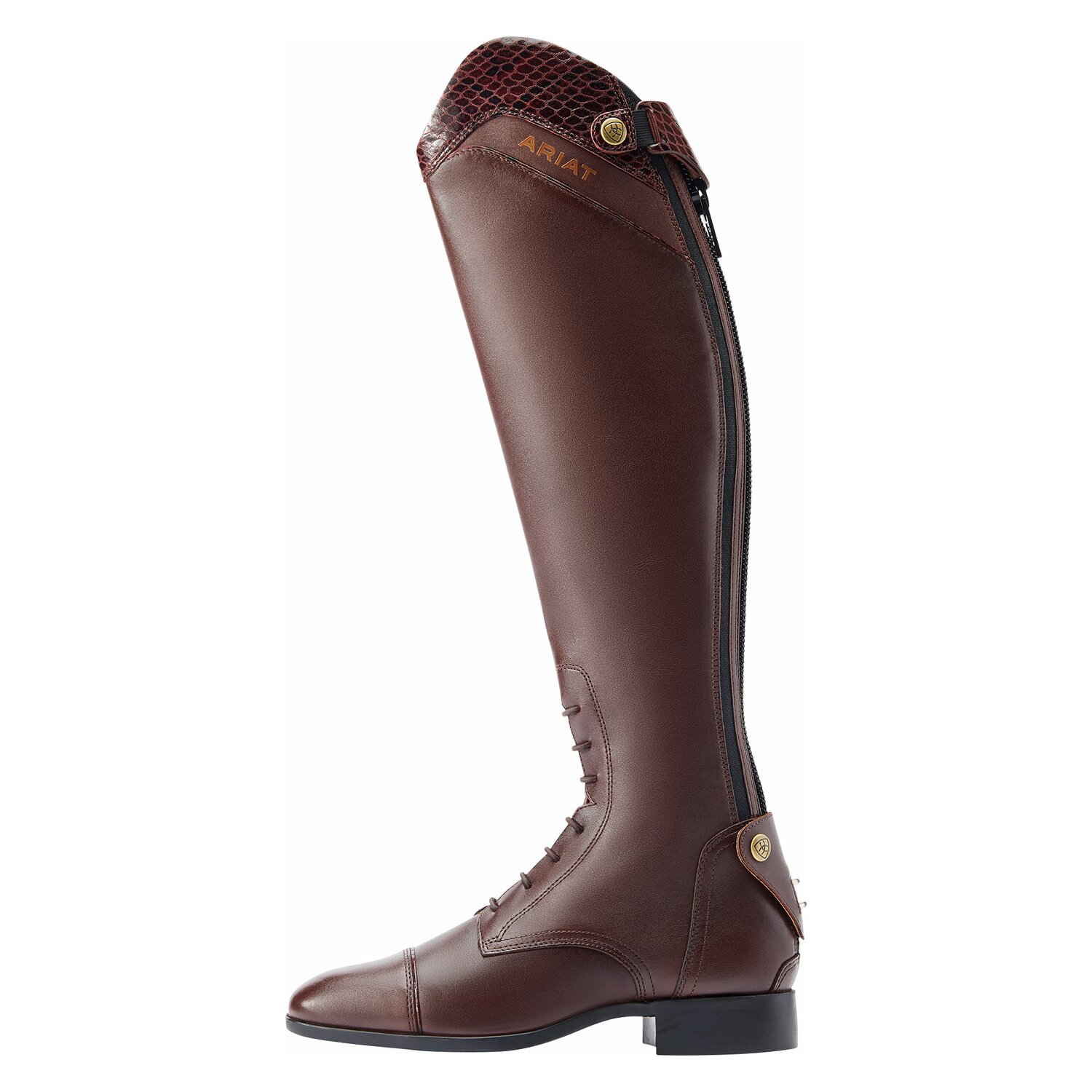 ARIAT Reitstiefel Palisade Ellipse  - mahogany