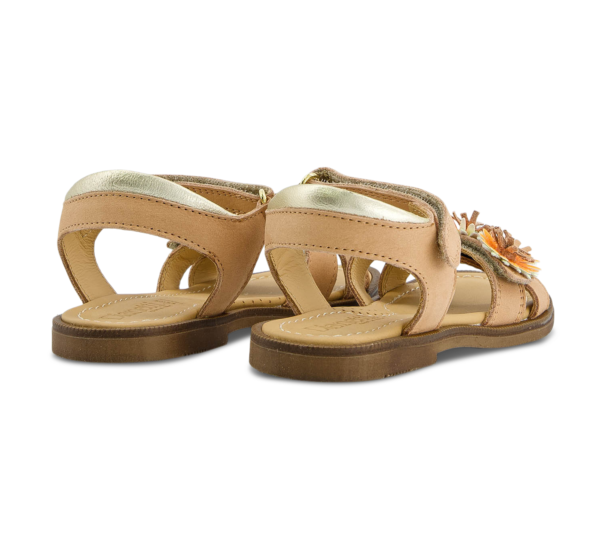 Dianetti 3027