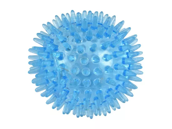 Jouet pour Chien Sonore 