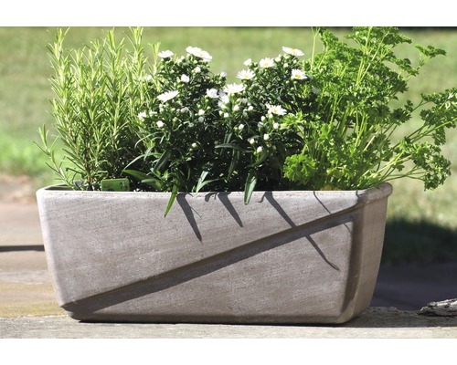 Spang klei plantenpot, 40 x 20 x 16 cm, grijs