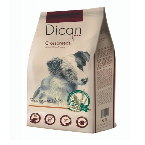 Ração Dibaq Dican Up para cães adultos, sabor frango.