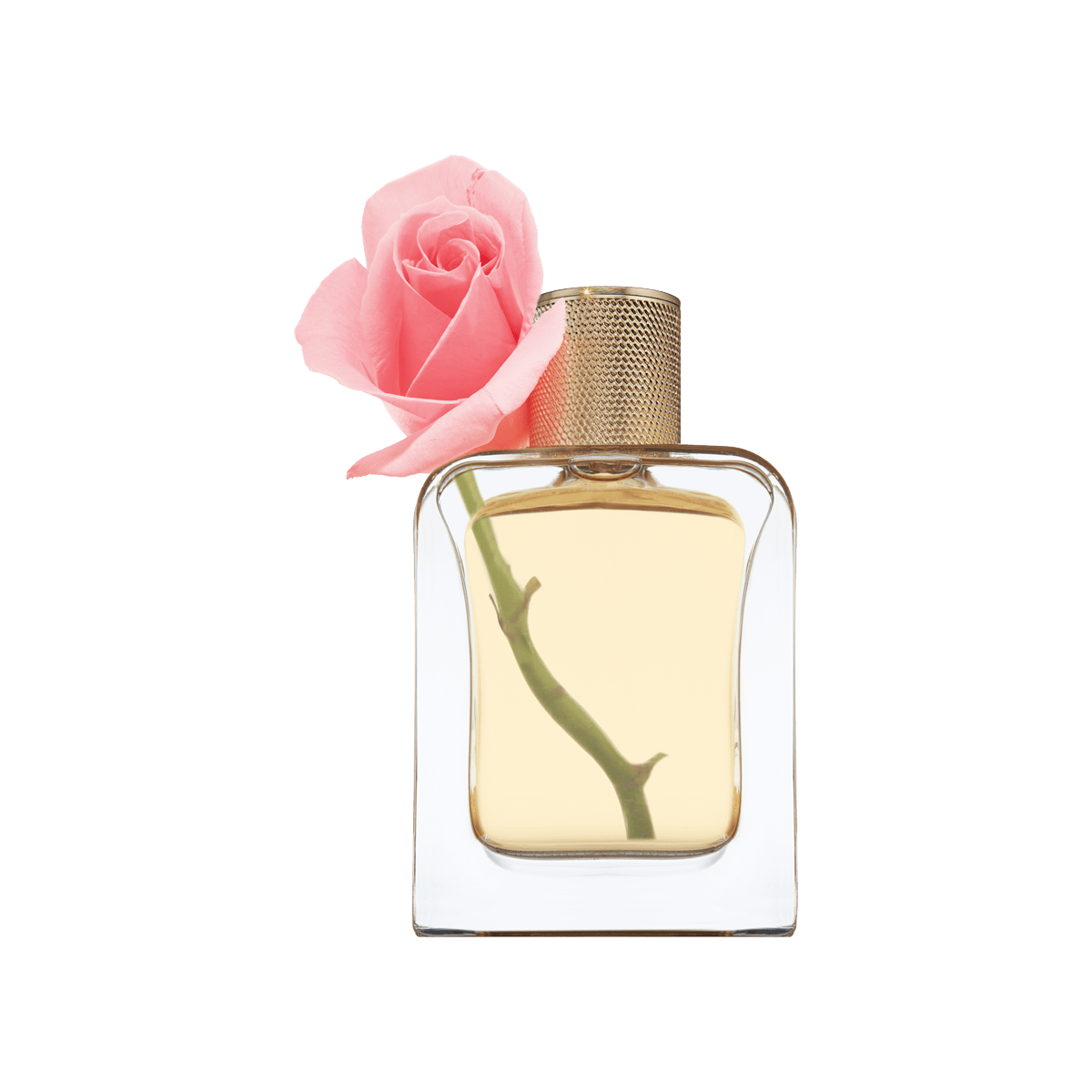 Desert Rose Eau de Parfum 85ml