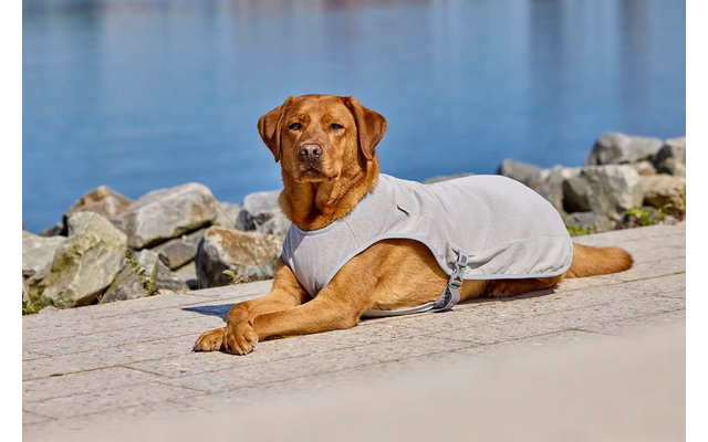 Wolters watchout Kühlweste für Hunde