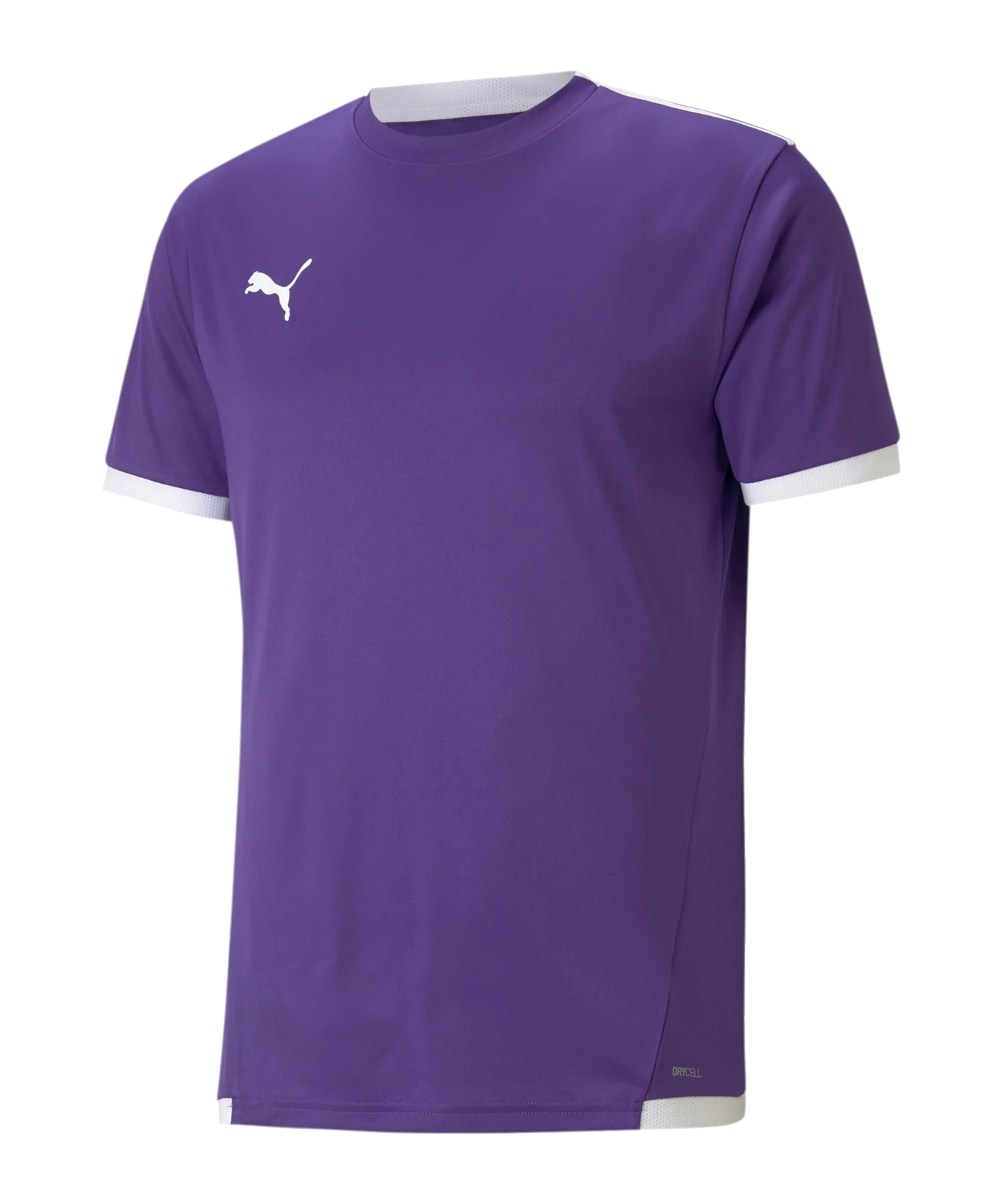 PUMA teamLIGA Trikot Lila F10