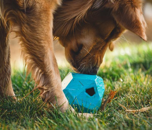 RUFFWEAR® Hundespielzeug Gnawt-a-Rock™, ca.