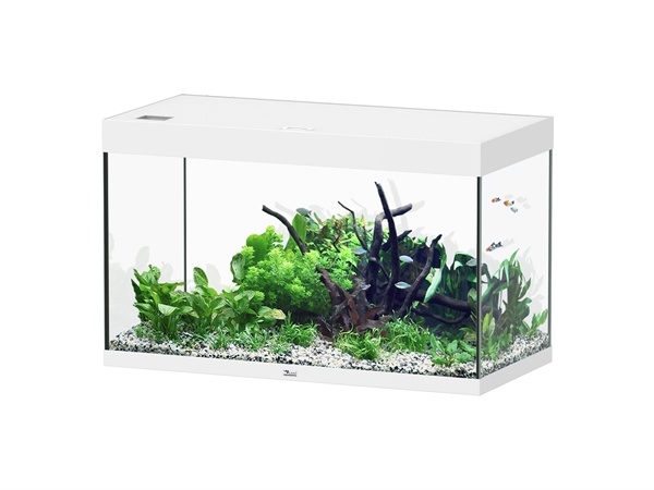 Aquatlantis Sublime 100x50 aquarium | Gloednieuw