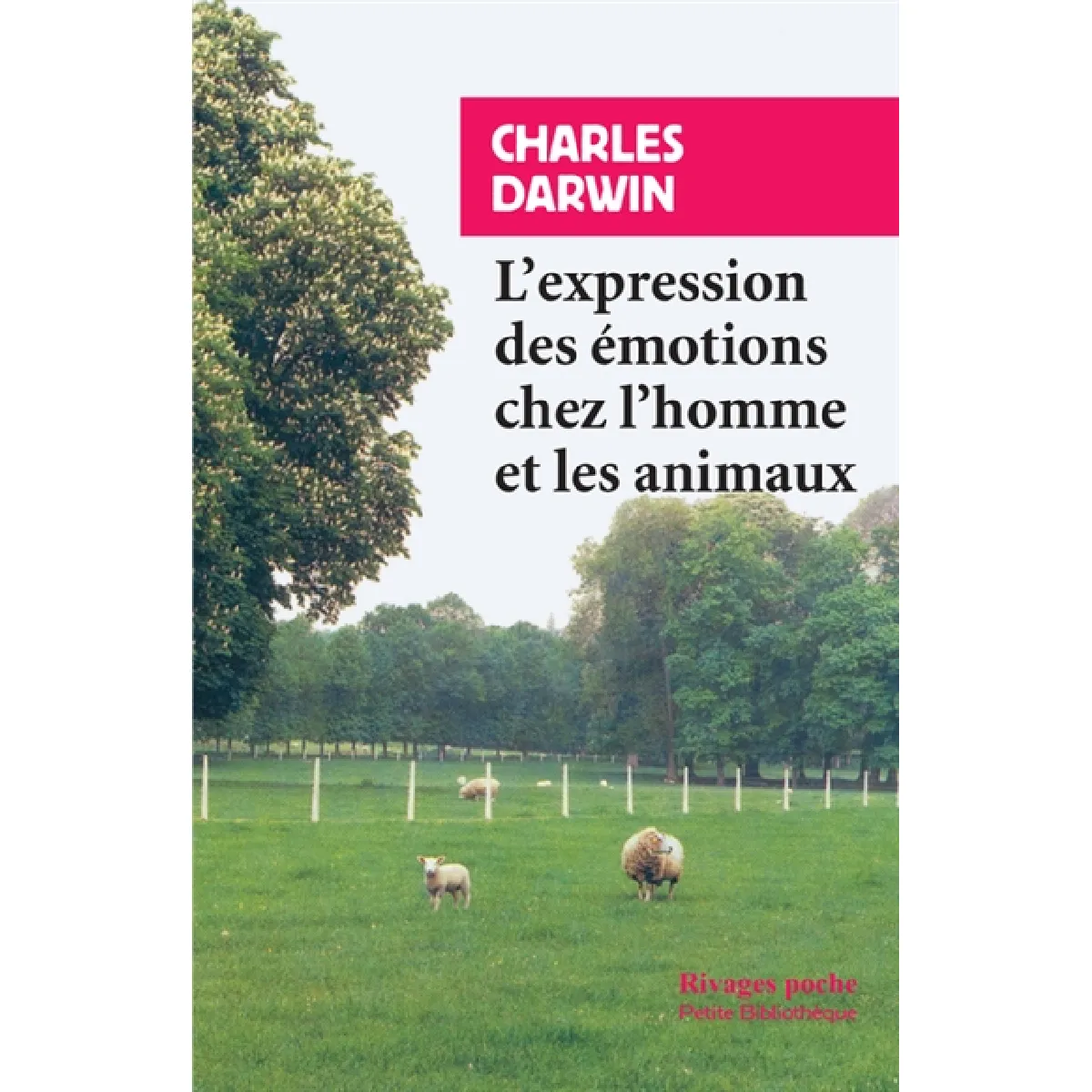 L'expression des émotions chez l'homme et les animaux. Esquisse biographique d'un petit enfant · Occasion