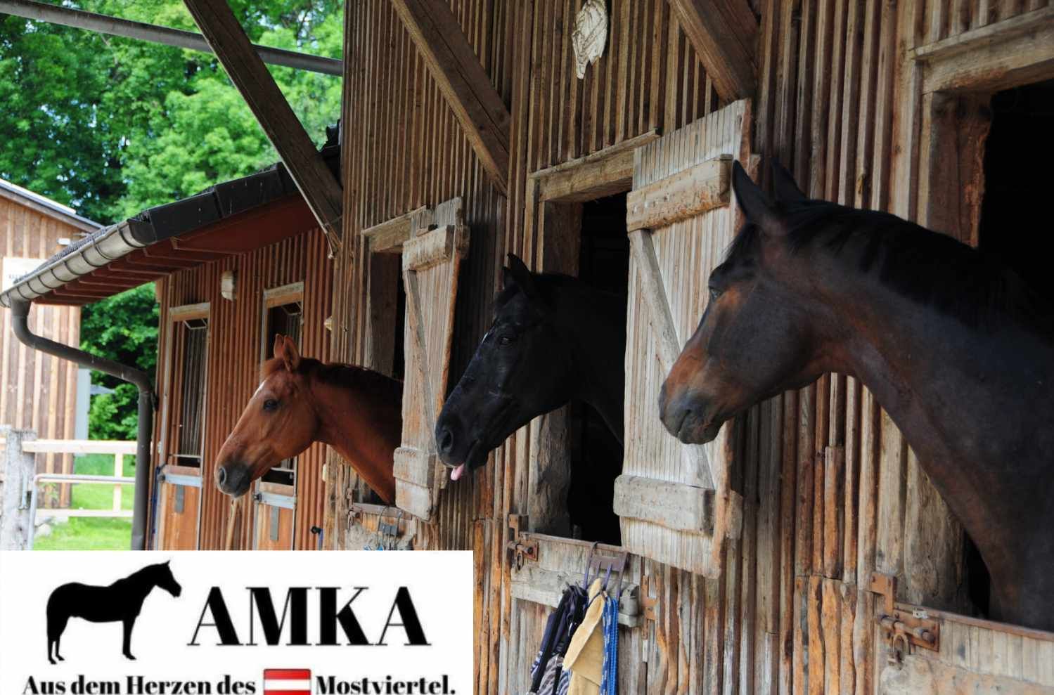 AMKA Mähnen- und Schweifbürste