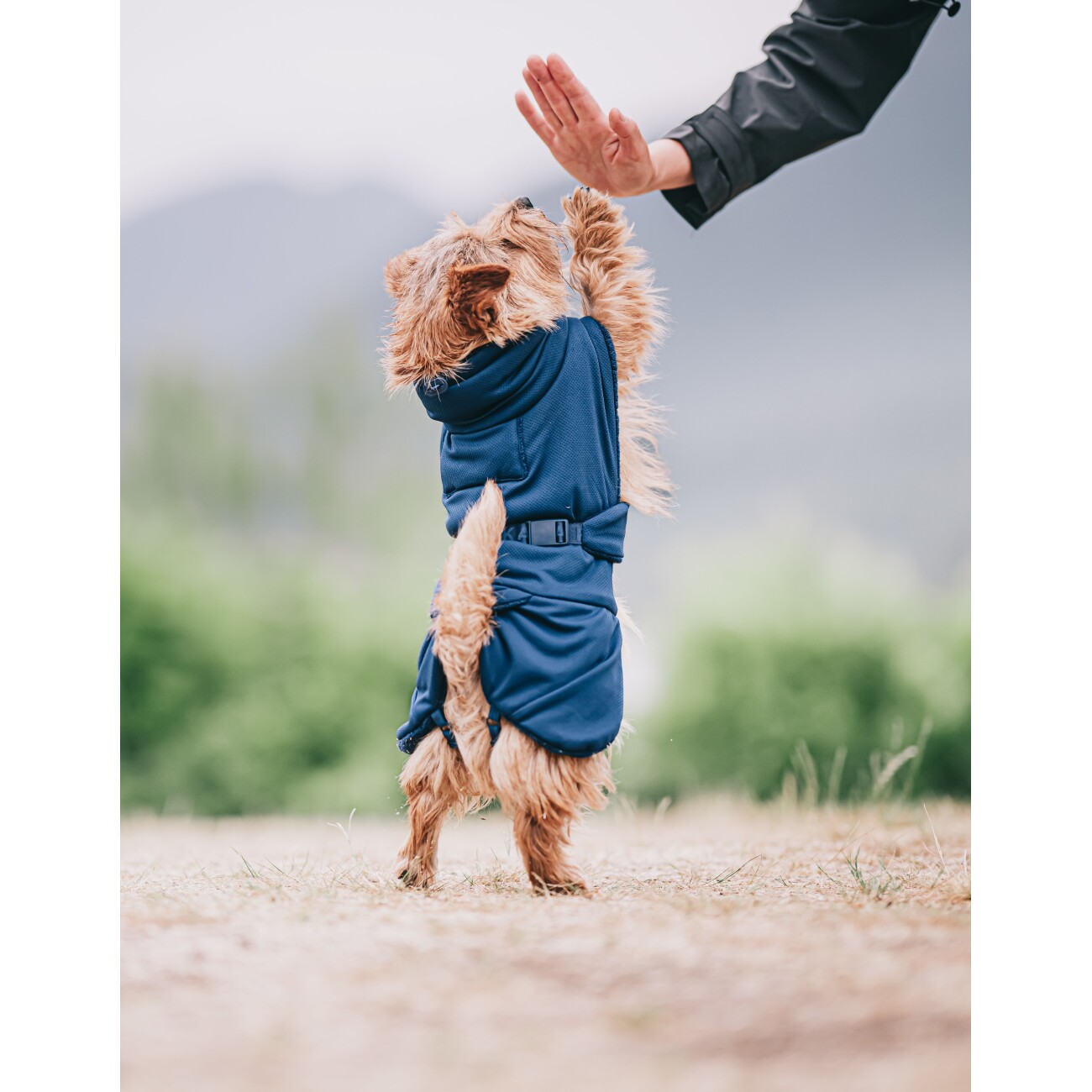 Paikka Drying Coat 2Go navy 30 cm