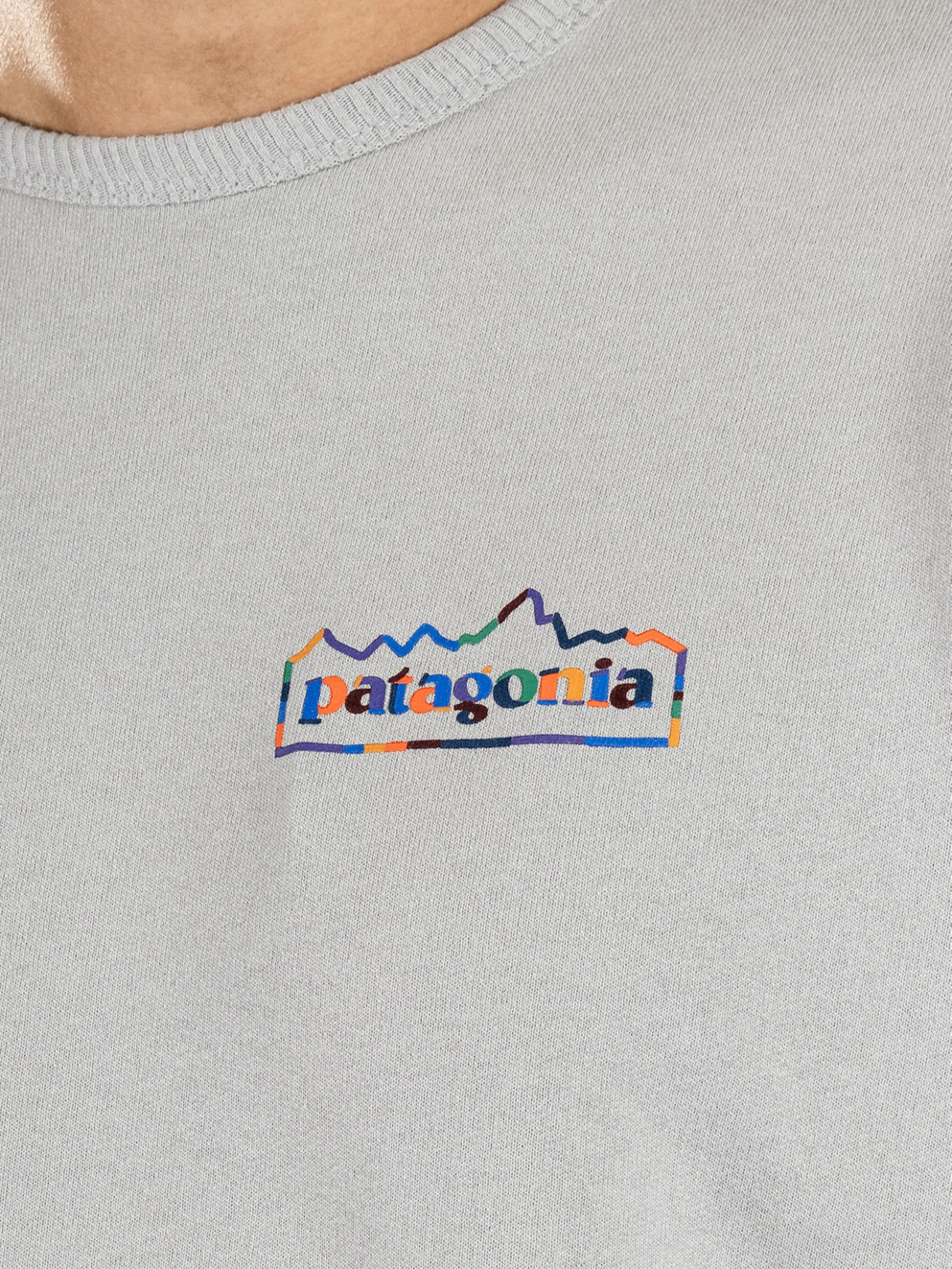 Patagonia LW Unity Fitz Wildrise Crew Sweater salt grey