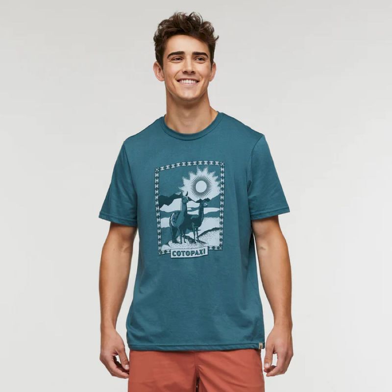 Llama Greetings Organic T-Shirt - T-shirt homme