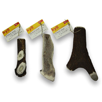 kyli Hirschgeweih Rotwild ca.50-80g
