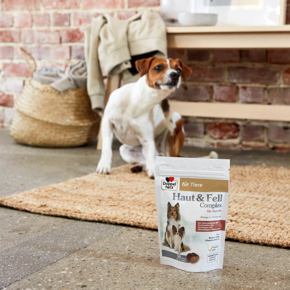 Doppelherz Huid & Vacht Complex voor Honden