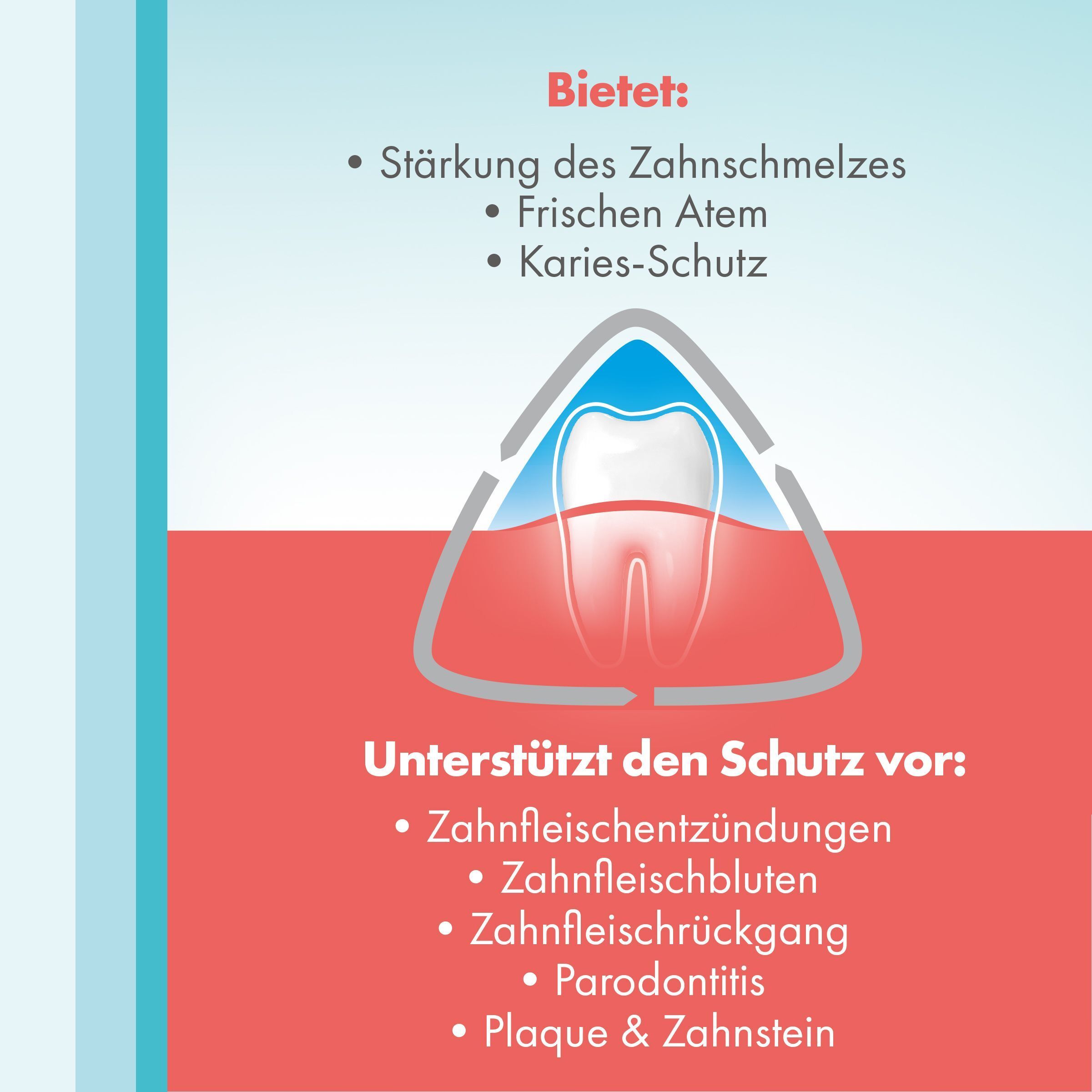 meridol Rundumpflege Mundspülung